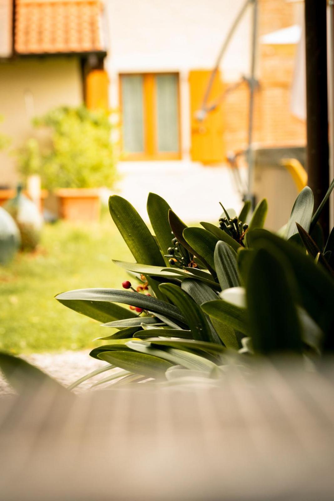 Agriturismo Podere Nigriano Salò Eksteriør billede